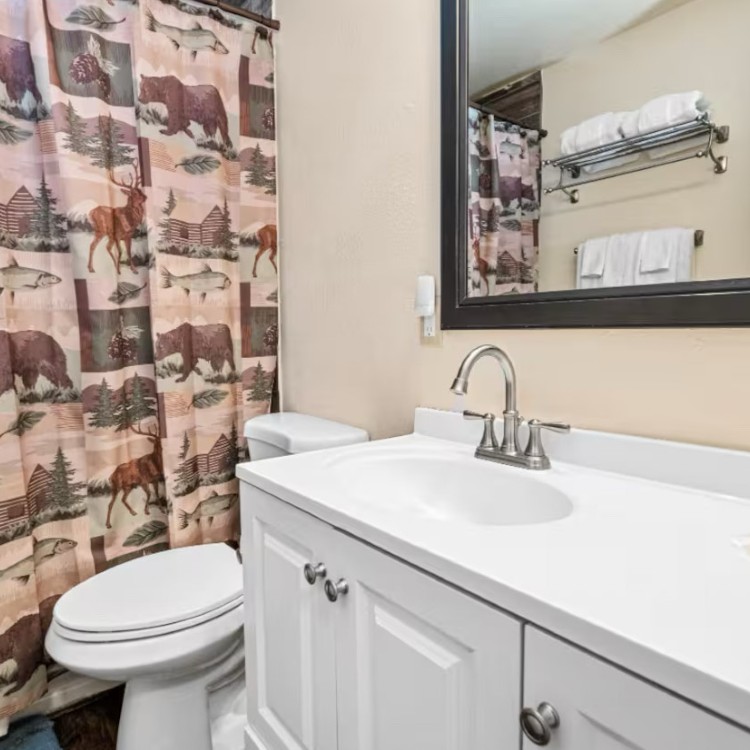 Vacation Homes in Big Bear Lake